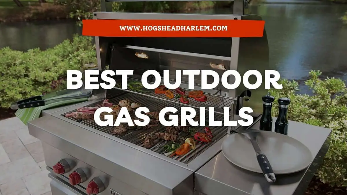 Top 8 Best Outdoor Gas Grills Reviews, Best Gas Grills For Outdoor Kitchens