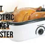The 10 Best Electric Turkey Roaster of 2022