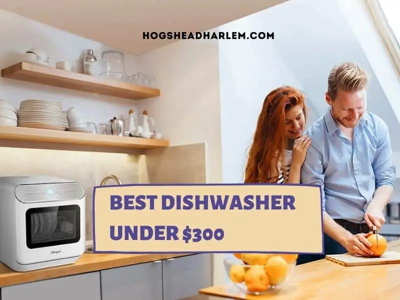 Best Dishwasher Under $300