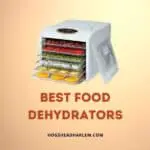 Best Food Dehydrators: Top 8 Picks of 2022