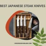 8 Best Japanese Steak Knives: 2022 Reviews & Buying Guide
