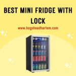 The 7 Best Mini Fridge With Lock for 2022